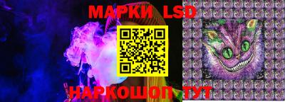 молекула духа Новозыбков