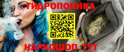молекула духа Новозыбков